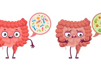 Eine comichafte Darstellung eines Darms mit gesunden Bakterien und eines Darm mit schädlichen Bakterien.