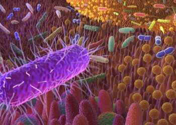Unser Darm wird von Milliarden Mikroorganismen bevölkert. Diese Kleinstlebewesen beeinflussen zahlreiche Prozesse im Körper - auch die Alterung. (Bild: Alex/stock.adobe.com)