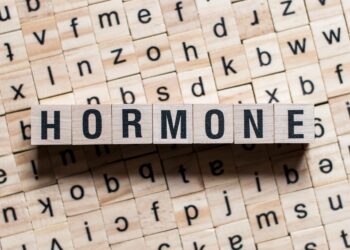 Können Hormone den Fortschritt von Atherosklerose verlangsamen? (Bild: Яна Василевская/Stock.Adobe.com)