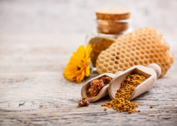 Bienen-Pollen und Propolis auf einem Holztisch