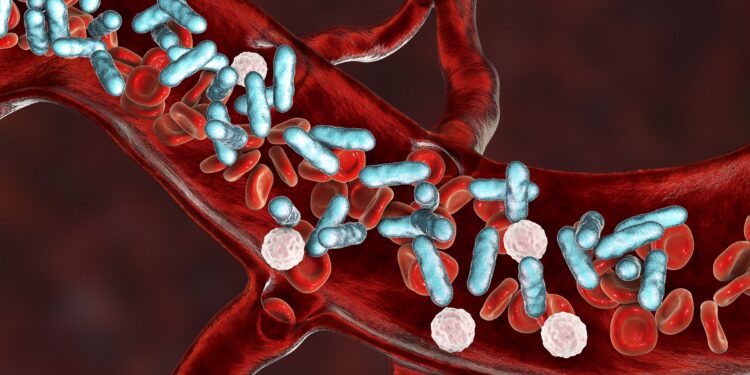 Grafische Darstellung von Bakterien, die ein Blutgefäß befallen haben.