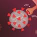 Über das Spike-Protein dockt das Coronavirus an Zellen an. Die 14-jährige Anika Chebrolu fand möglicherweise einen Weg, dies zu verhindern. (Bild: Laila/stock.adobe.com)