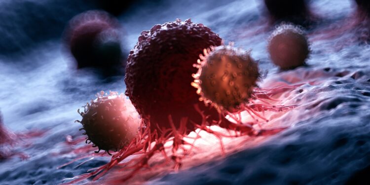 Eine grafische Darstellung von weißen Blutkörperchen, die eine Krebszelle angreifen.