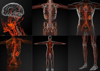 Eine grafische Darstellung des Lymphsystems in einem männlichen Körper.