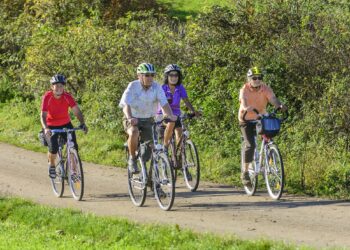 Vier ältere Personen beim Fahrradfahren in der Natur