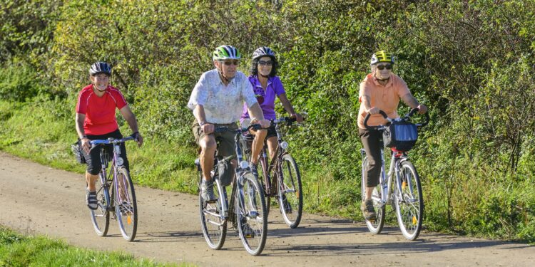 Vier ältere Personen beim Fahrradfahren in der Natur