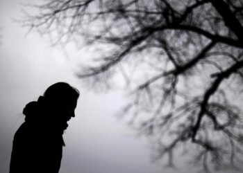 Die Silhouette einer Person in einer grauen Winterlandschaft.