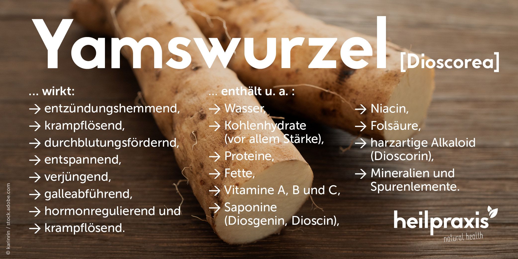 Inhaltsstoffe und Wirkungen der Yamswurzel