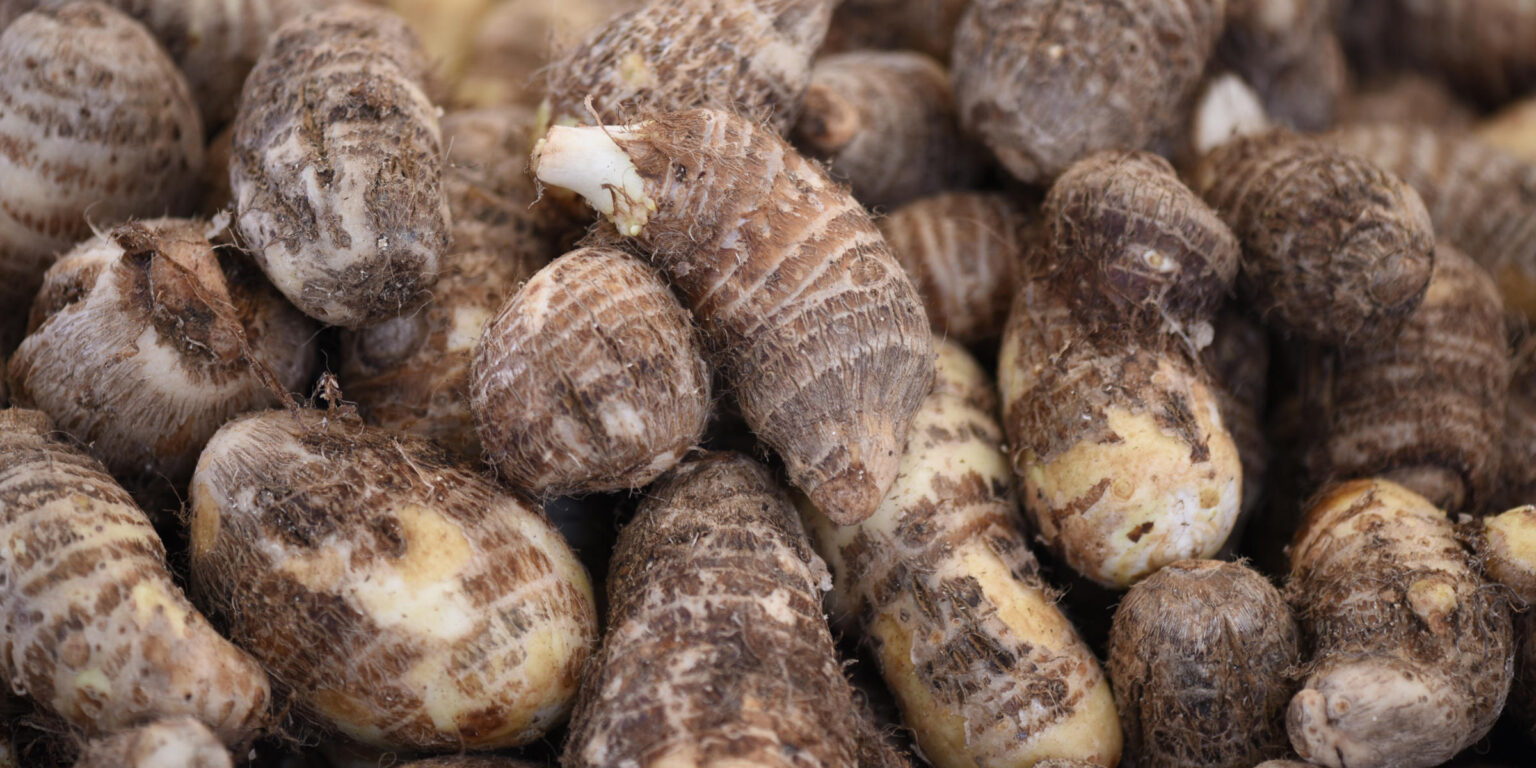 Yamswurzel – Wirkung, Anwendung und Botanik – Heilpraxis