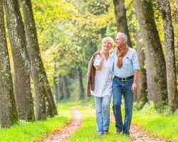 Älteres Parr geht im Wald spazieren.