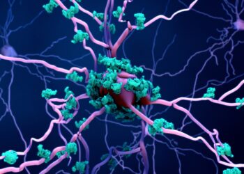 Darstellung von Neuronen mit Tau-Protein-Ablagerungen.