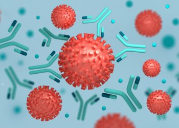 Schematische Darstellung des Coronavirus und entsprechender Antikörper.