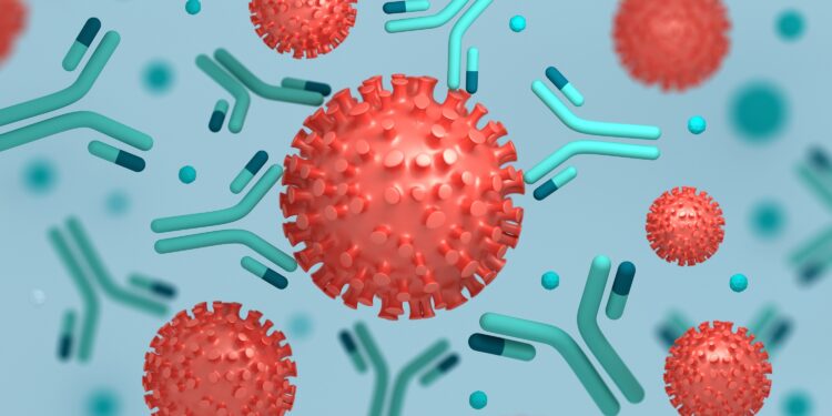 Schematische weergave van Coronavirus en het bijbehorende antilichaam.