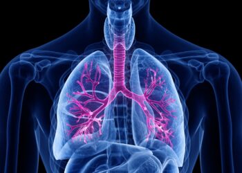 Eine grafische Darstellung der Lungenflügel eines Menschen.