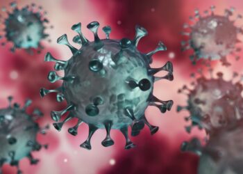 Darstellung des Coronavirus
