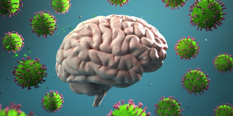Simuliertes Gehirn umkreist von übergroßen Coronaviren.