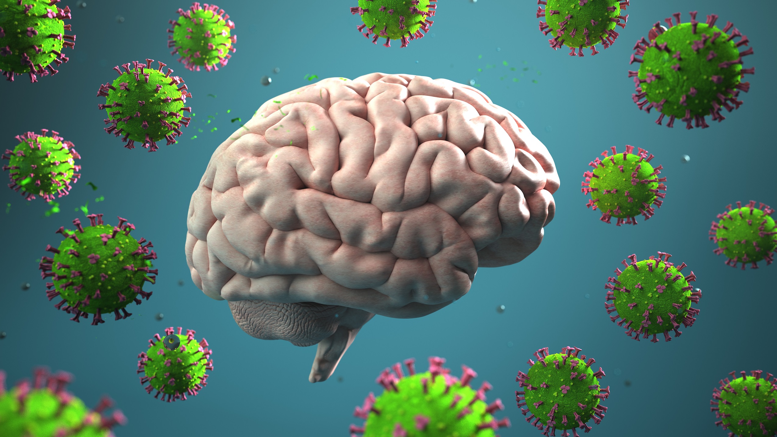 Photo of Das Coronavirus SARS-CoV-2 erreicht auch das Gehirn – was sind die Konsequenzen?  – Heilpraxis