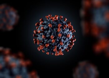 Illustration des Coronavirus SARS-CoV-2