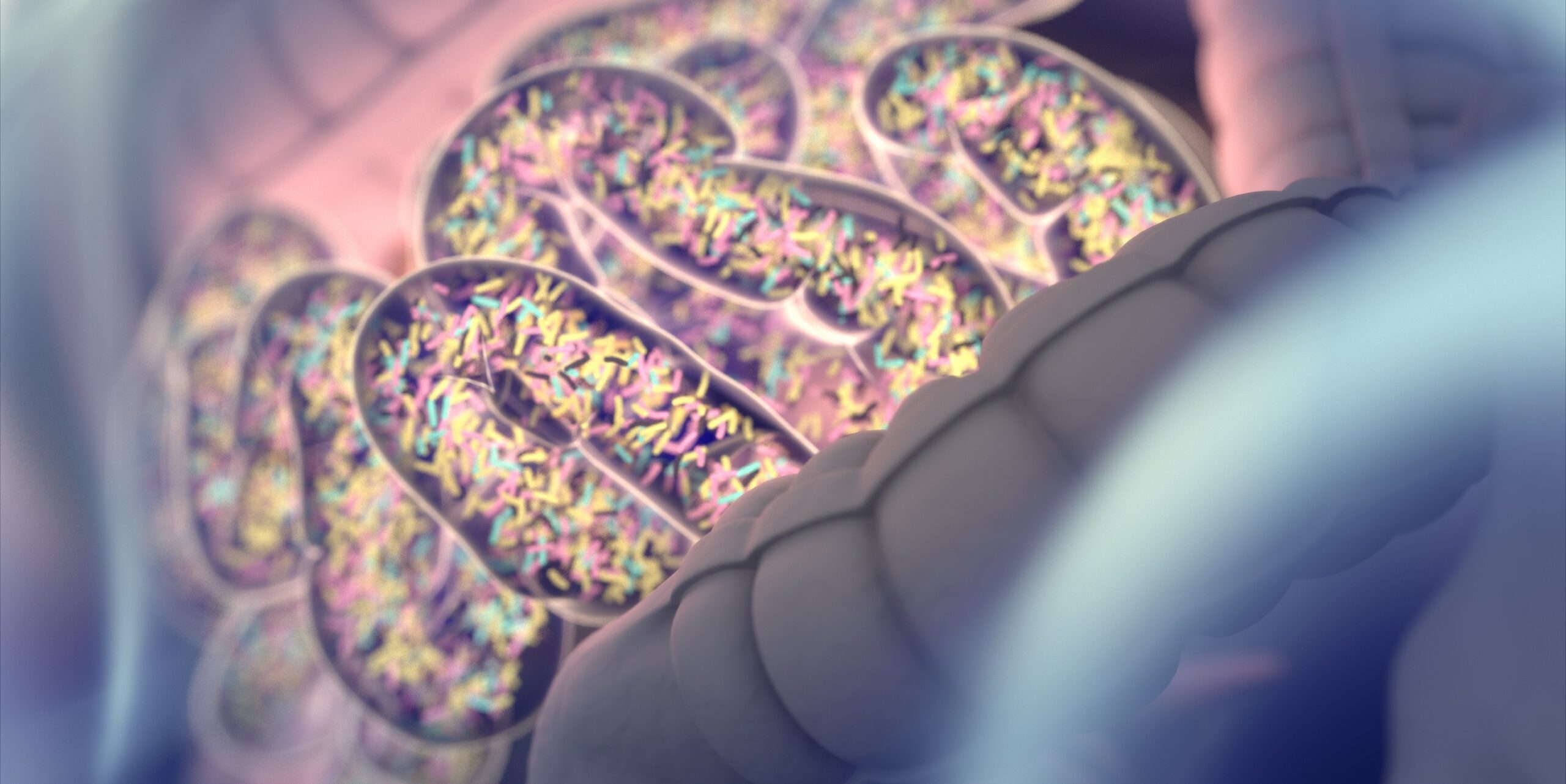 Fr-hzeitige-Darmflora-Ver-nderungen-bei-chronisch-entz-ndlichen-Darmkrankheiten