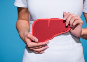 Frau hält Papier in Form einer Leber vor ihrem Bauch