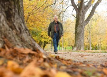 Ein älterer Mann geht in einer herbstlichen Parklandschaft spazieren.