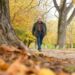 Ein älterer Mann geht in einer herbstlichen Parklandschaft spazieren.