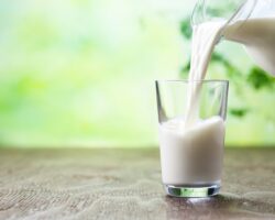 Aus einem Glaskrug wird Milch in ein Glas geschüttet