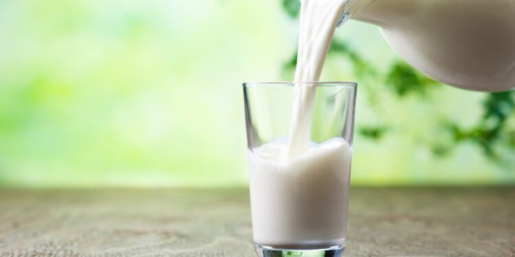 Aus einem Glaskrug wird Milch in ein Glas geschüttet