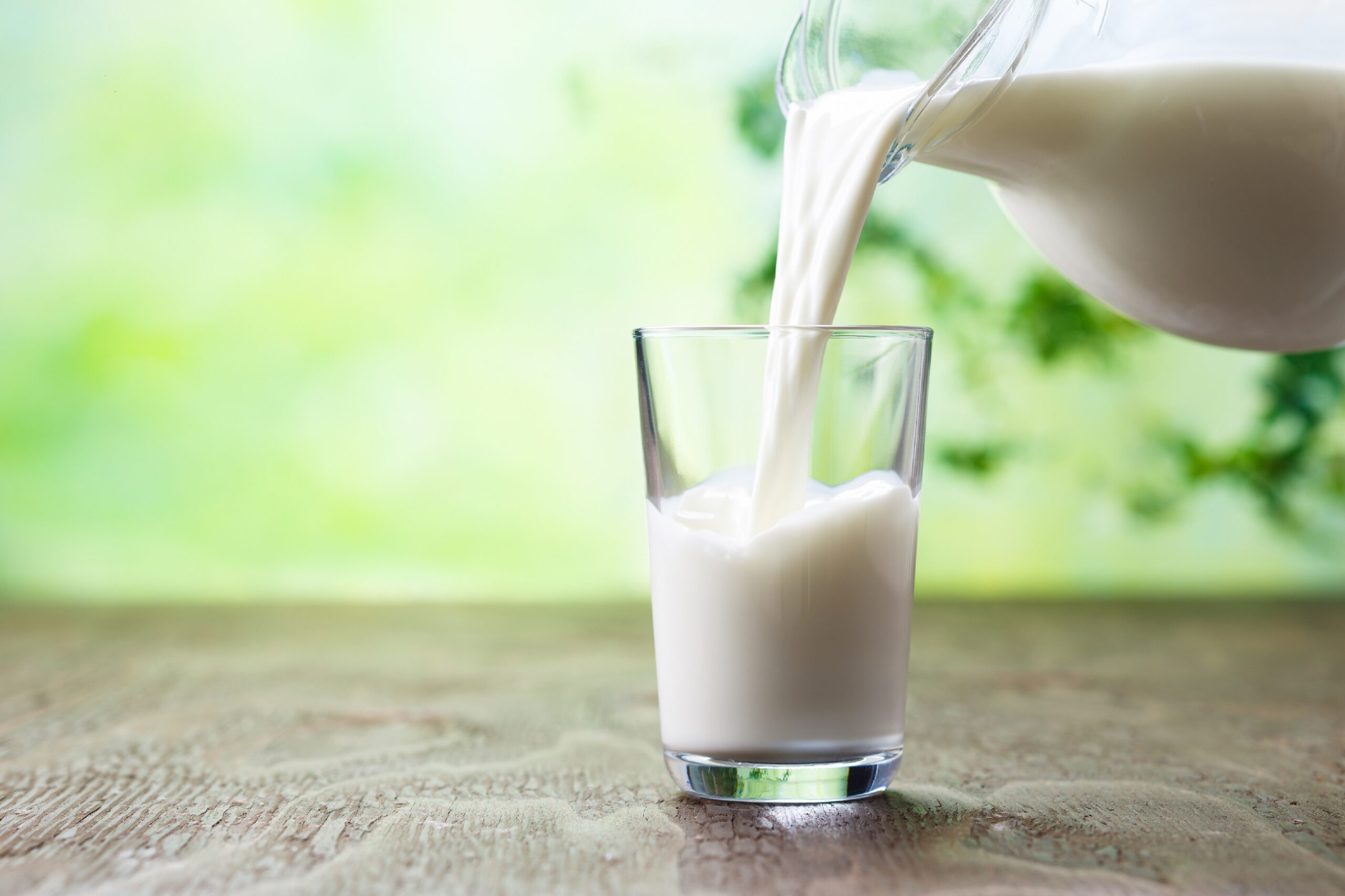 ¿Combatir el COVID-19 con leche?  Práctica de curación