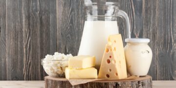 Auswahl an Milch und Käseprodukten.