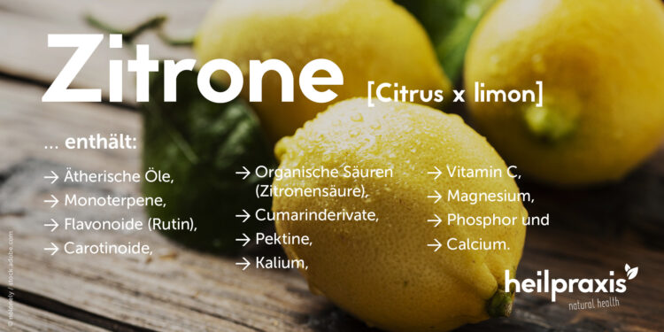 Inhaltstoffe der Zitrone