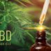 CBD-Tropfen vor einer Cannabispflanze.