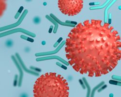 3D-Darstellung des Coronavirus SARS-CoV-2 und entsprechender Antikörpe