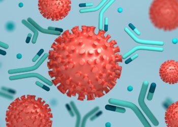 3D-Darstellung des Coronavirus SARS-CoV-2 und entsprechender Antikörpe