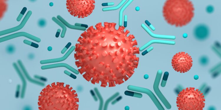 3D-Darstellung des Coronavirus SARS-CoV-2 und entsprechender Antikörpe