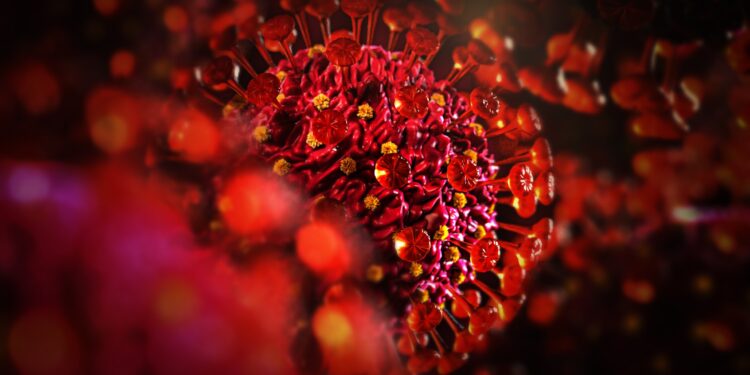 3D-Darstellung des Coronavirus SARS-CoV-2
