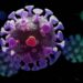 3D-Illustration des Coronavirus