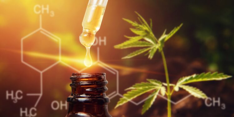 CBD-Tropfen vor einer Cannabispflanze.