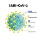 Ein Schaubild zum Aufbau des Coronavirus SARS-CoV-2.