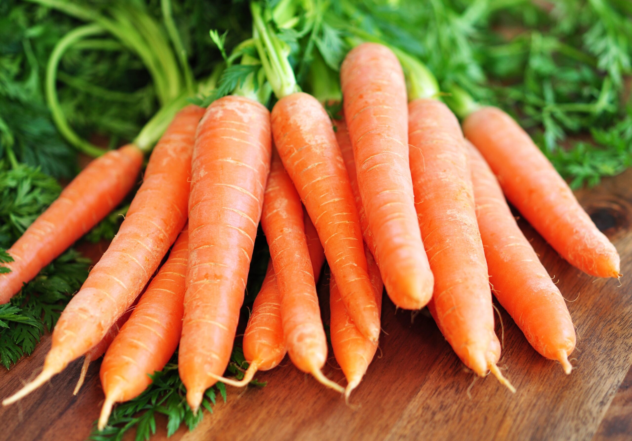 Las zanahorias contienen muchos ingredientes que promueven la salud: una práctica curativa