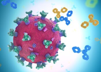 Darstellung des Coronavirus SARS-CoV-2 und entsprechender Antikörper.