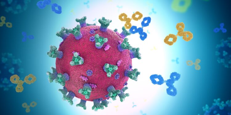 Darstellung des Coronavirus SARS-CoV-2 und entsprechender Antikörper.