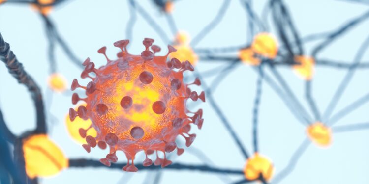 3D-Illustration des Coronavirus mit einer Abbildung des Nervensystems im Hintergrund