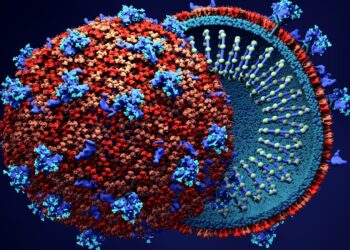 Darstellung der Struktur des Coronavirus SARS-CoV-2