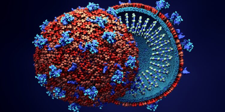 Darstellung der Struktur des Coronavirus SARS-CoV-2