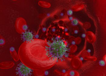 Illustration einer Infektion mit Coronaviren in der Blutbahn