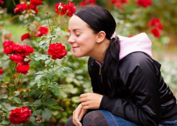 Junge Frau riecht im Garten an Rosen
