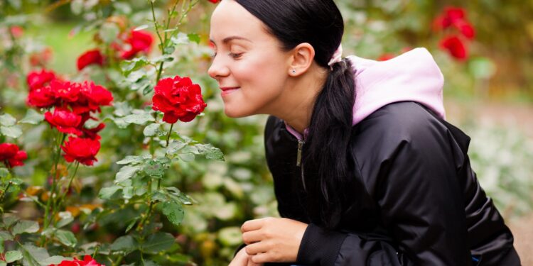 Junge Frau riecht im Garten an Rosen