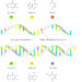 Schaubild über den Aufbau von RNA und DNA.