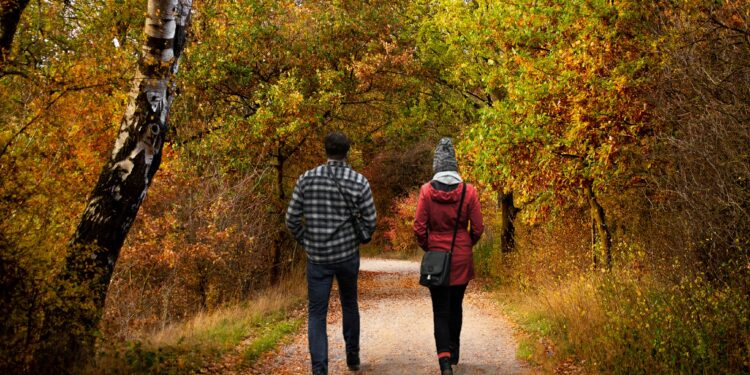 Menschen gehen im Wald spazieren.